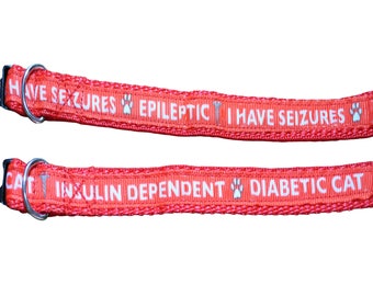 dog vomiting yellow foam