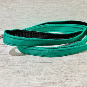 May include: A teal blue dog leash with a black center strip and a silver clip.