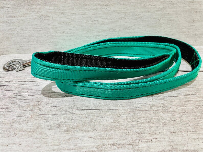 May include: A teal blue dog leash with a black center strip and a silver clip.