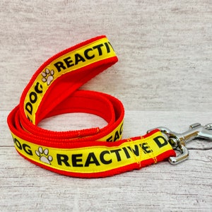 Reactive Dog Lead: Anxious Dog Leash, Space Needed