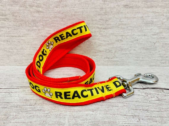 REACTIVE DOG Lead Leash Back off SPACE Needed Reactive dog Lead leash Alert Collars Etsy Canada