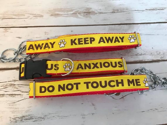 anxious dog collar