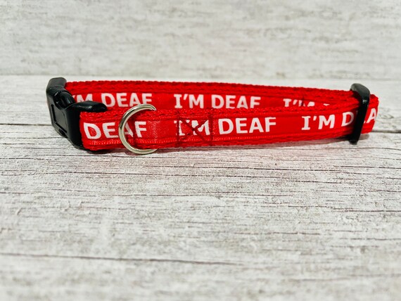I m Deaf Cat Collar Kitten Collar Deaf Dog Can t Hear I m Deaf Puppy Small Collar Small Dog Collar Deaf Kitten Any Colour Etsy