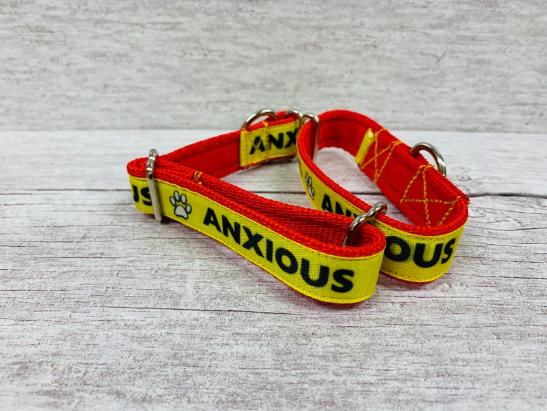 Reactive Dog Collar Alert Collars Keep Away ANXIOUS Etsy