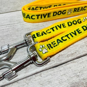 Reactive Dog Lead: Solid Color, Space Needed, Alert Leash