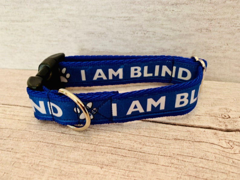 Blind Dog I AM BLIND DOG Ribbon Puppy Small Large Dog Collar Etsy UK