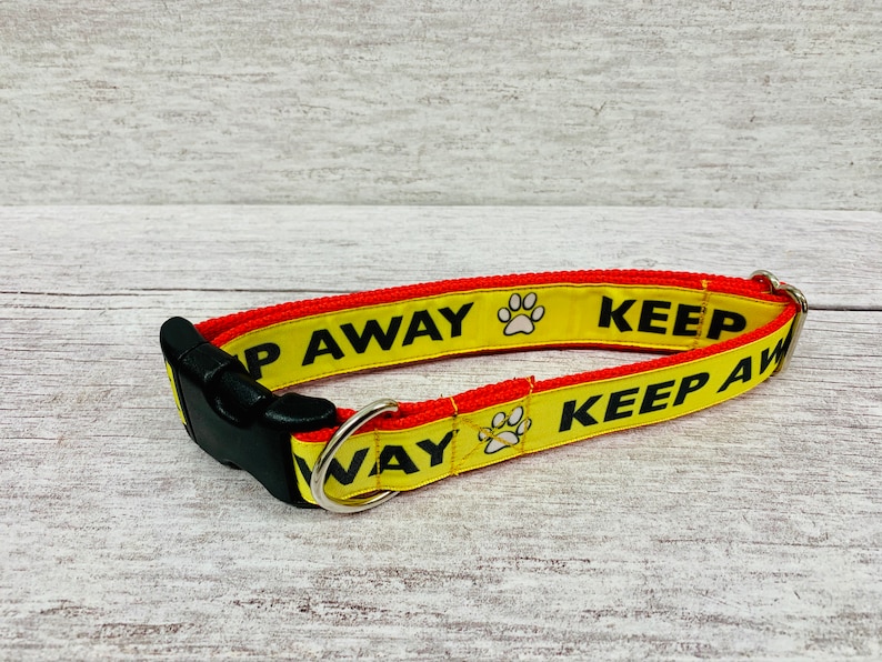 Reactive Dog Collar Alert Collars Keep Away ANXIOUS Etsy