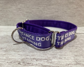 In Training - Support Dog Collar **Choice of Colours** **Matching Lead/Leash Available**