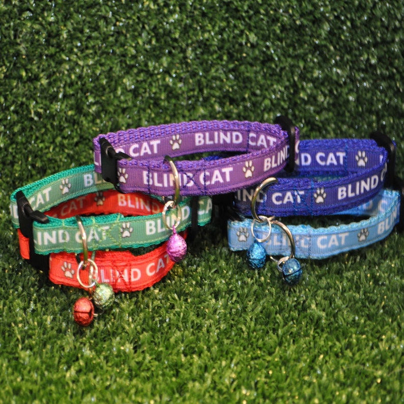 BLIND CAT choice of Colours & Collar Fastening Ribbon Kitten Etsy UK