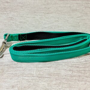 May include: A teal blue dog leash with a black lining and a silver clip.