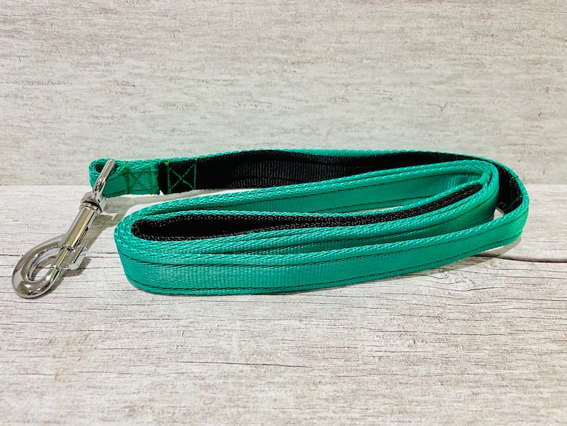 May include: A teal blue dog leash with a black lining and a silver clip.