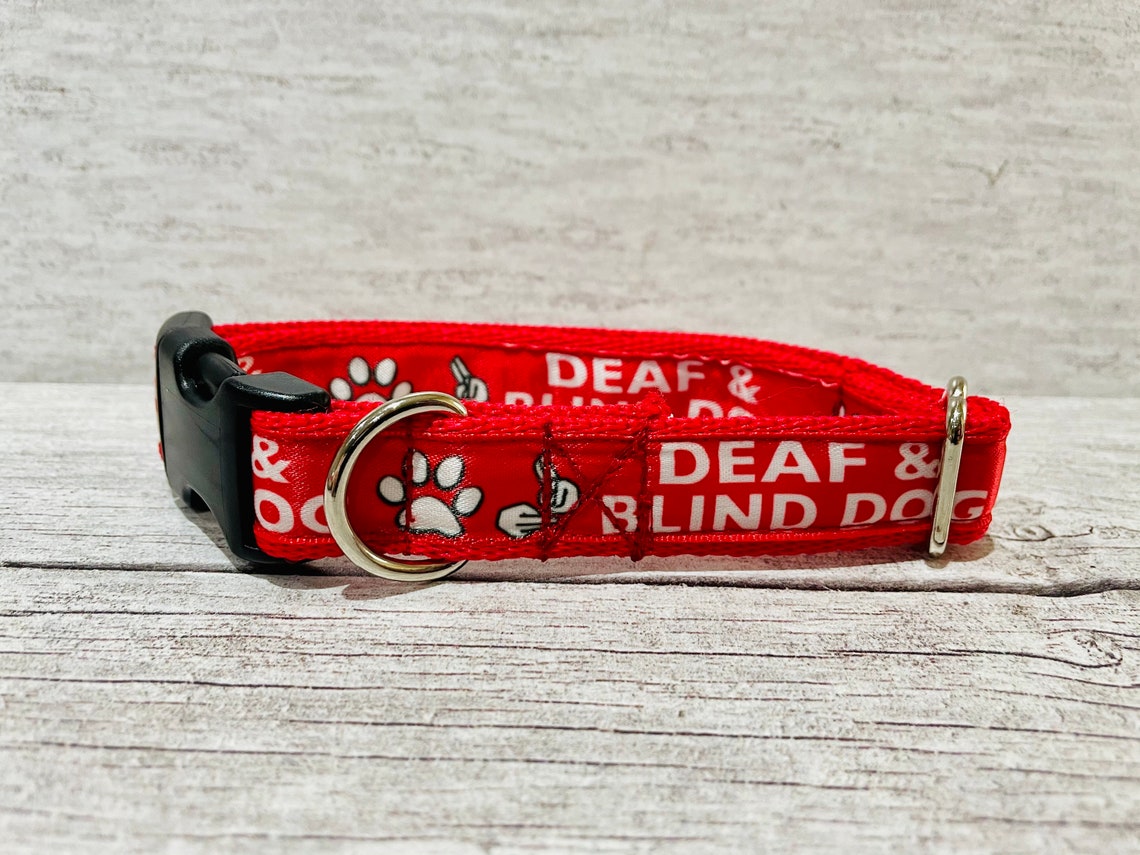 DEAF and BLIND DOG Ribbon Puppy Small Large Dog Collar Etsy