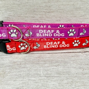 Deaf and Blind Dog Collar: Ribbon Puppy Collar