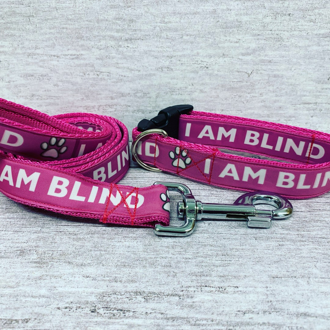 Blind Dog I AM BLIND DOG Ribbon Puppy Small Large Dog Collar Choice of