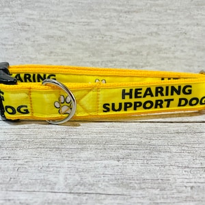 Peut inclure: Collier de chien jaune avec du texte noir qui dit "Hearing Support Dog" et une empreinte de patte. Le collier a un anneau en D argenté et une boucle noire.