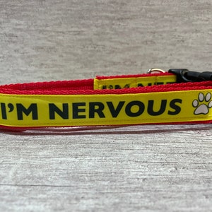 Nervous Dog Collar: Anxious Dog, Do Not Touch