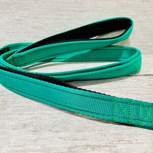May include: A teal blue dog leash with black webbing and green stitching. The leash has a metal clip on one end.