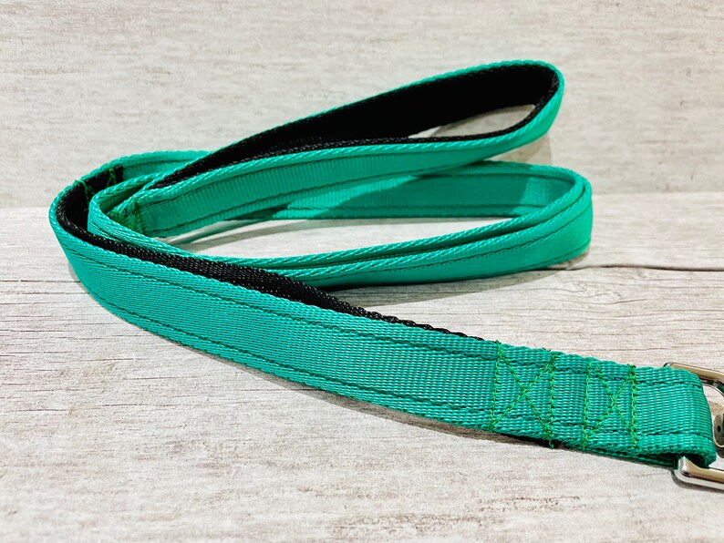 May include: A teal blue dog leash with black webbing and green stitching. The leash has a metal clip on one end.