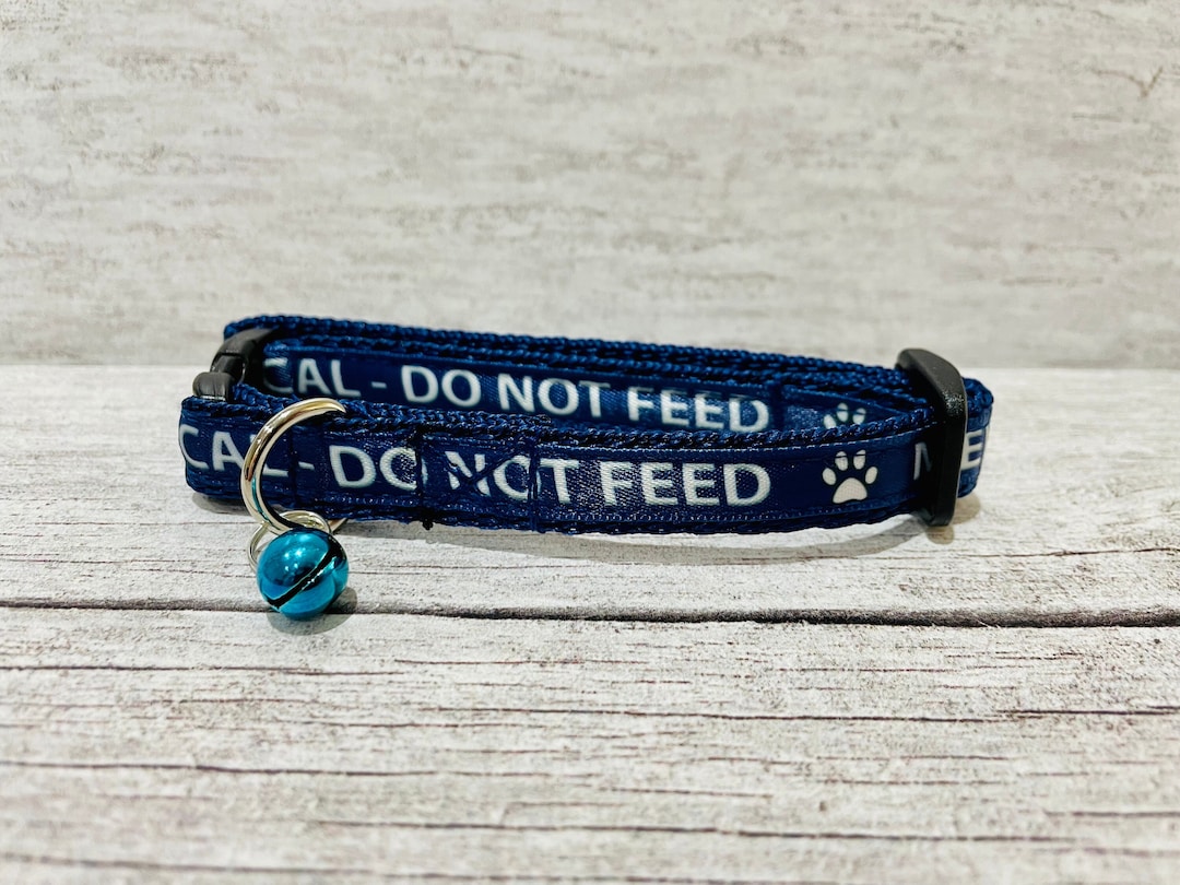 Special Diet Do Not Feed Cat Kitten Collar No Food Any Colour Etsy UK