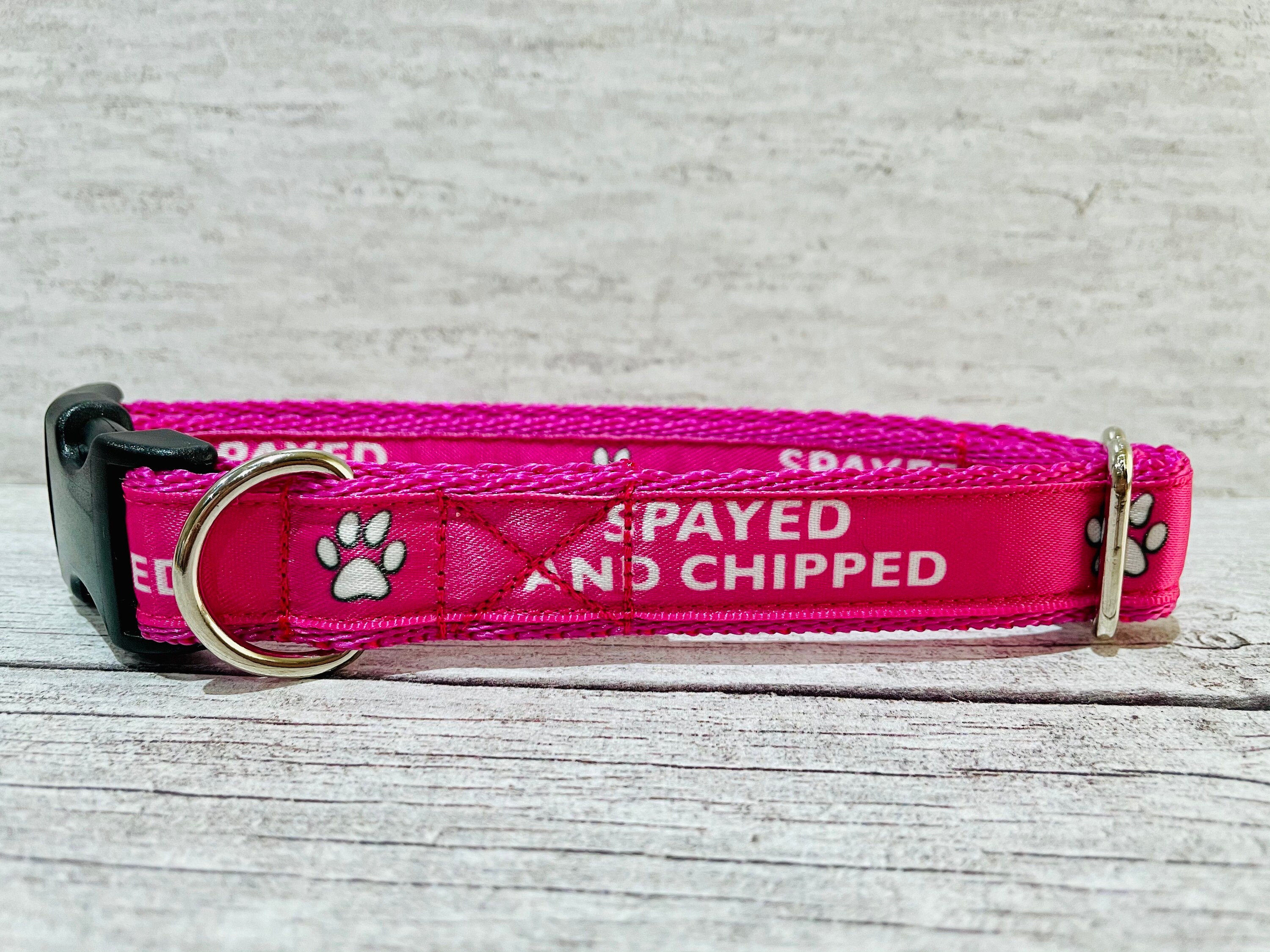 Personalised Microchipped Neutered Spayed Chipped Small Dog Large Dog Cushioned Webbing Any Colour Puppy Collar Etsy UK