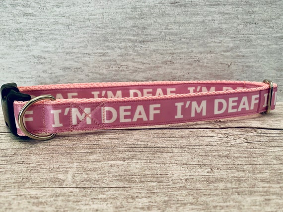 BABY PINK I m Deaf Dog Collar choice of Colours matching Lead