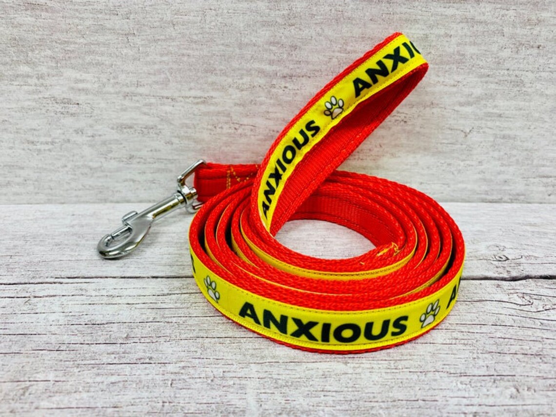 ANXIOUS DOG Lead Leash Back Off SPACE Needed Reactive Dog Etsy