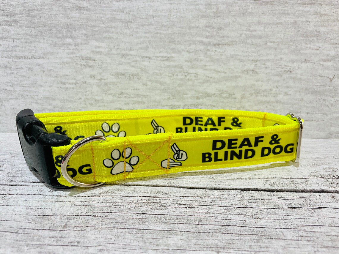 DEAF and BLIND DOG Ribbon Puppy Small Large Dog Collar Etsy UK