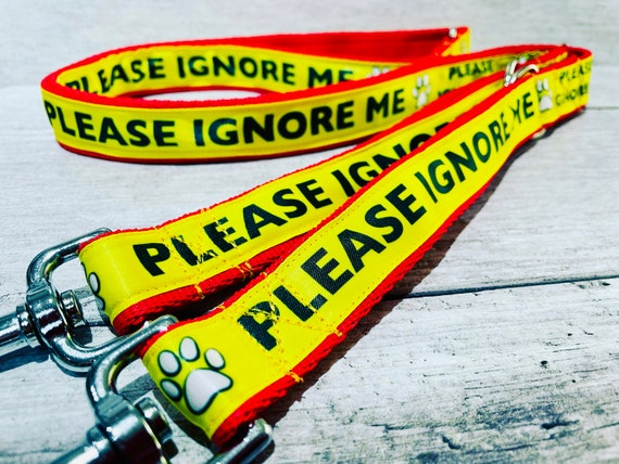 Please Ignore Leash Lead - Support Dog - KEEP AWAY Reactive