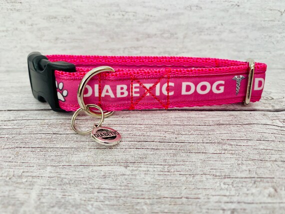 HOT Pink Diabetic Allerta medica Collare per cani piccolo grande cucciolo di  nastro Collare per cani piccoli Tutte le taglie Qualsiasi COLORE -   Italia