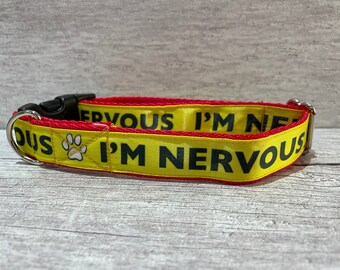 Nervous 2025 dog collar