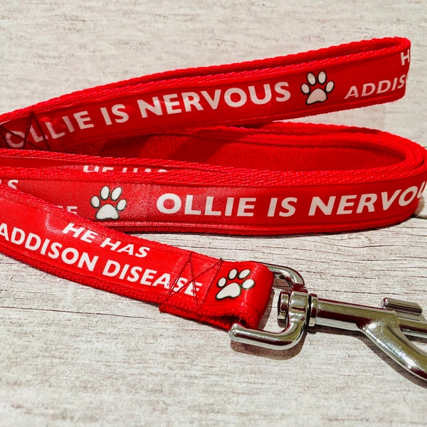 Personalised Custom Print Dog Lead / Leash - Your Text - Your Colours - Alert Lead - Dog Walking Lead - Personalized - Embroidery - Logo