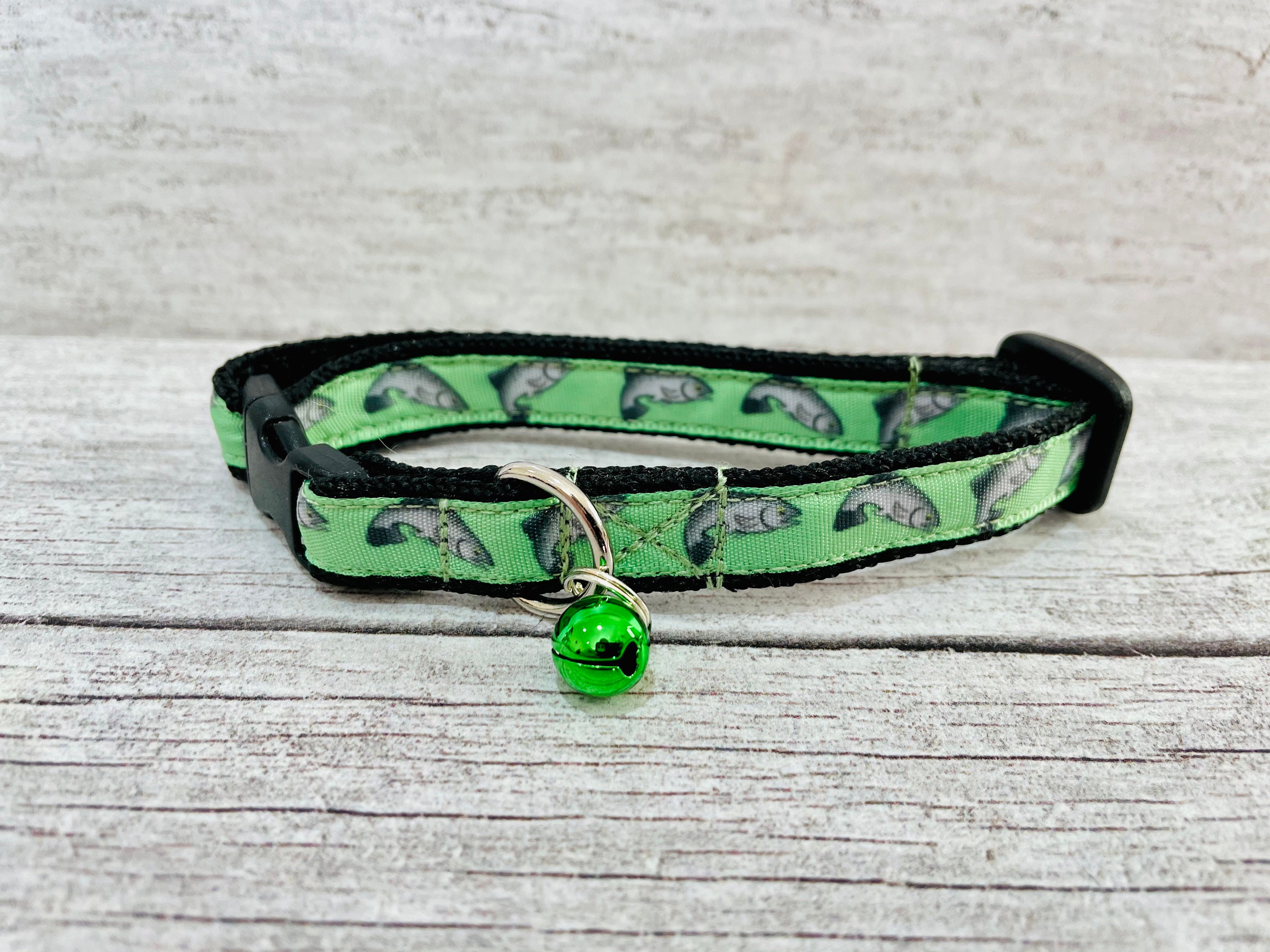 collars for tiny kittens