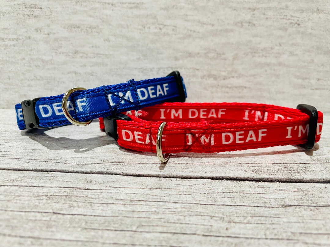 I'm Deaf Cat Collar Kitten Collar Deaf Dog Can't Hear I'm Deaf Puppy Small Collar Small Dog