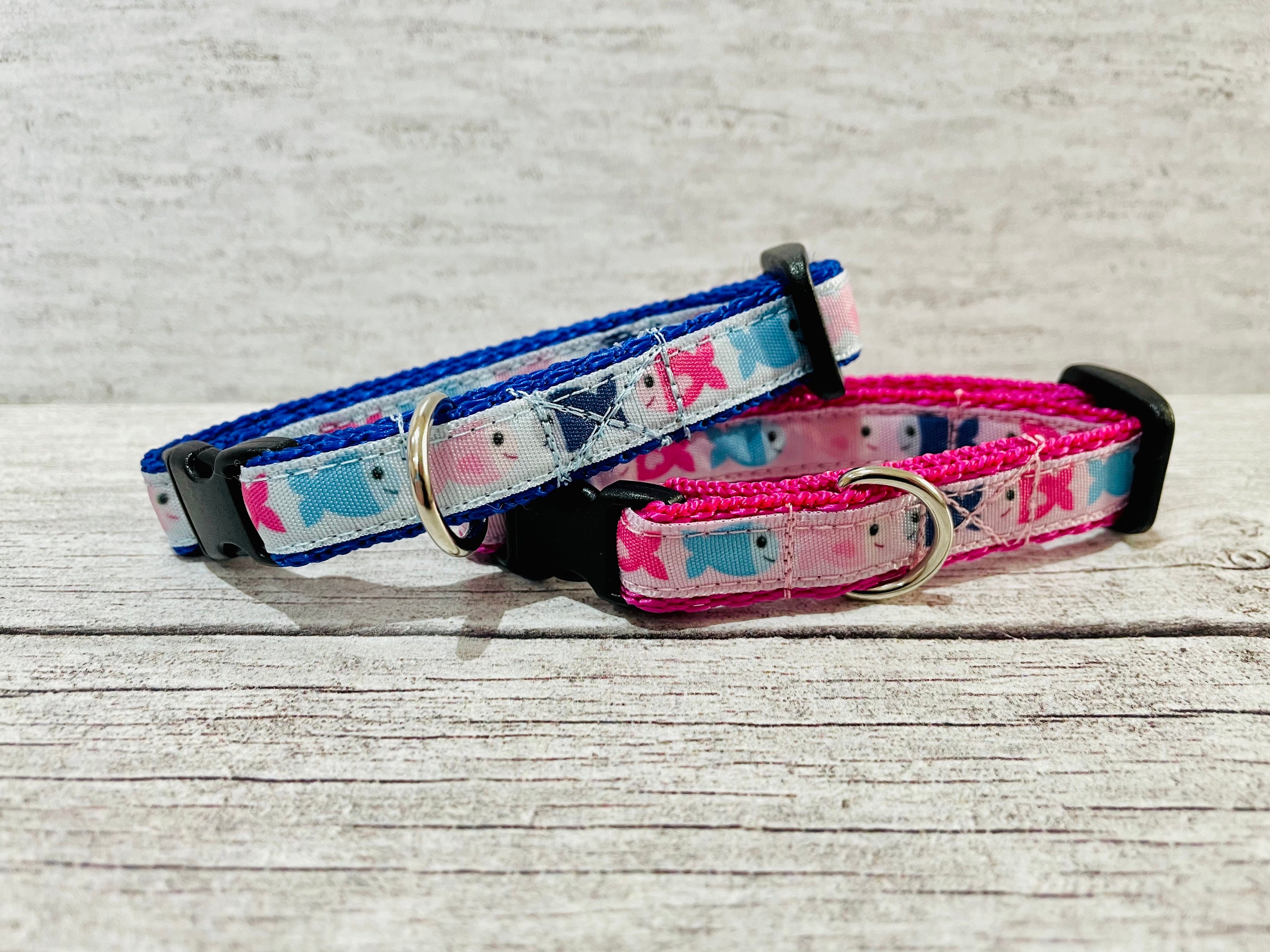 tiny puppy collars