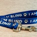 see more listings in the Pet Leashes/Leads section