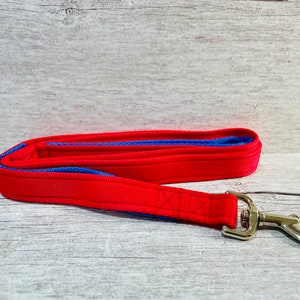 May include: Red dog leash with a blue stripe and a silver clip.