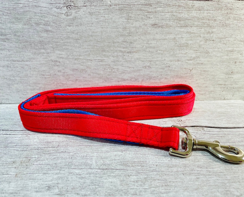 May include: Red dog leash with a blue stripe and a silver clip.