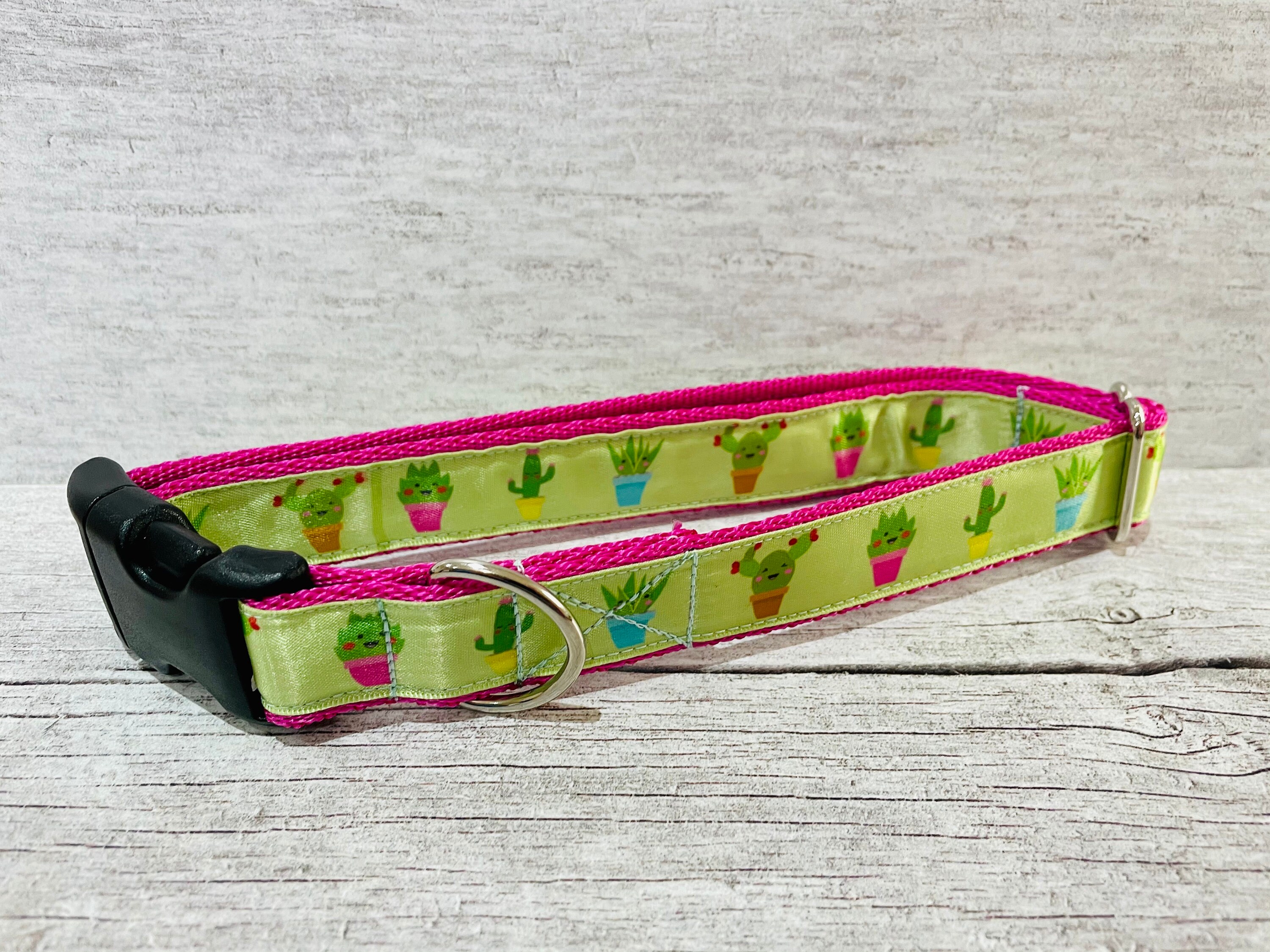 cactus dog collar