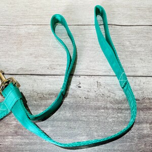 May include: A teal blue dog lead with a silver clip.