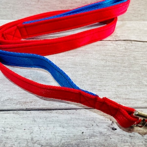 May include: A red and blue dog leash with a silver clip.