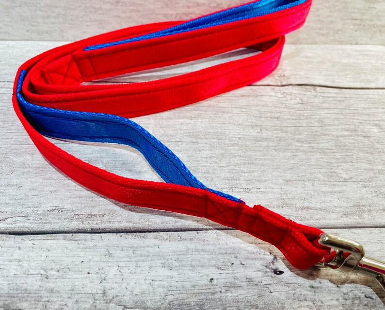 May include: A red and blue dog leash with a silver clip.