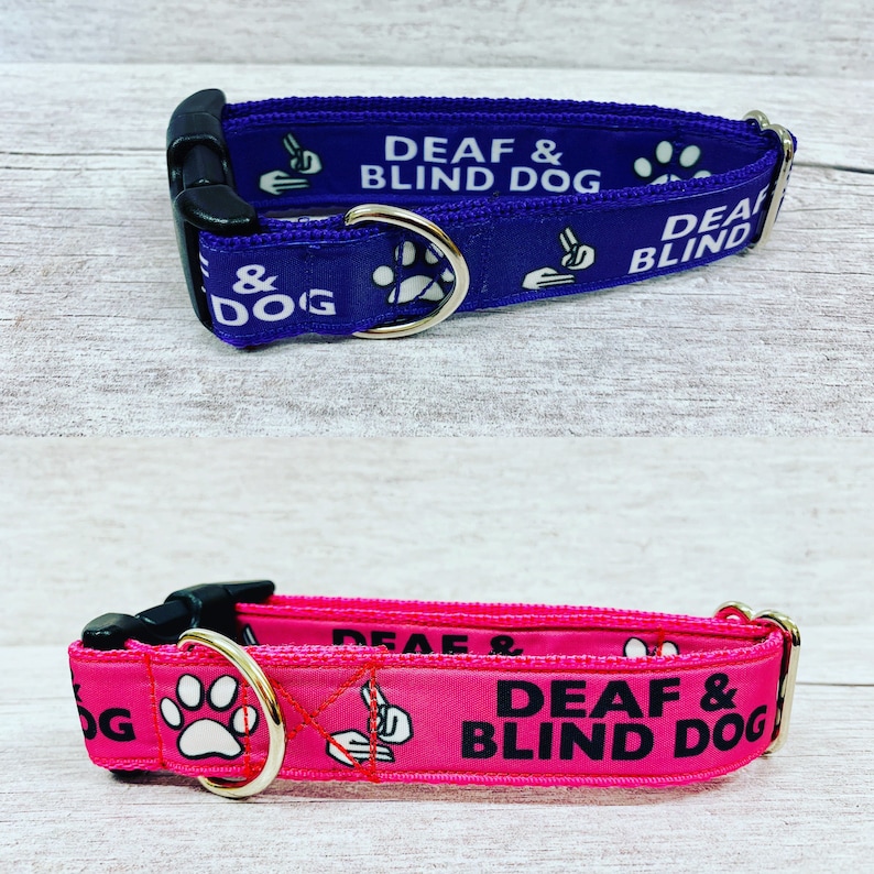 DEAF and BLIND DOG Ribbon Puppy Small Large Dog Collar Etsy