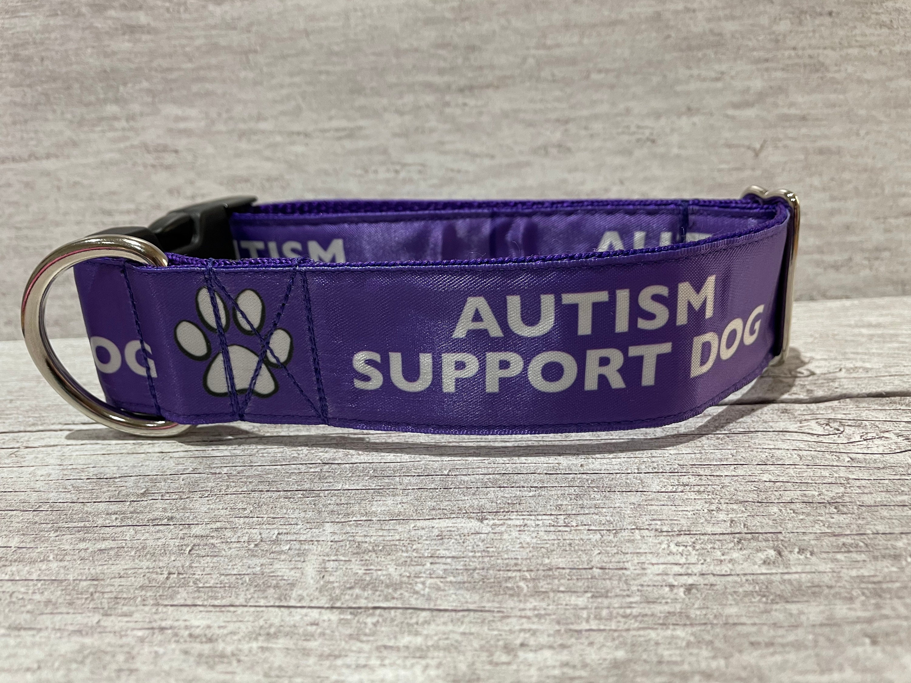 Autism dog harness 2025