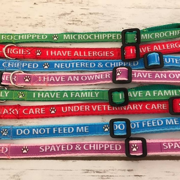 Personalised Microchipped - Allergies - Neutered - Spayed - I have a Family - I have a Owner - Under Vet Care - Feed Cat Kitten Puppy Collar