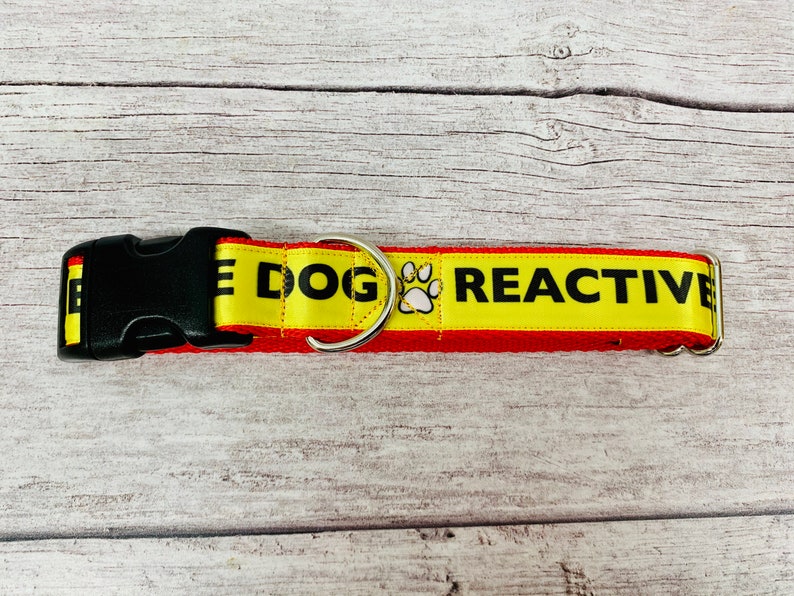 Reactive Dog Collar Alert Collars keep Away ANXIOUS Etsy