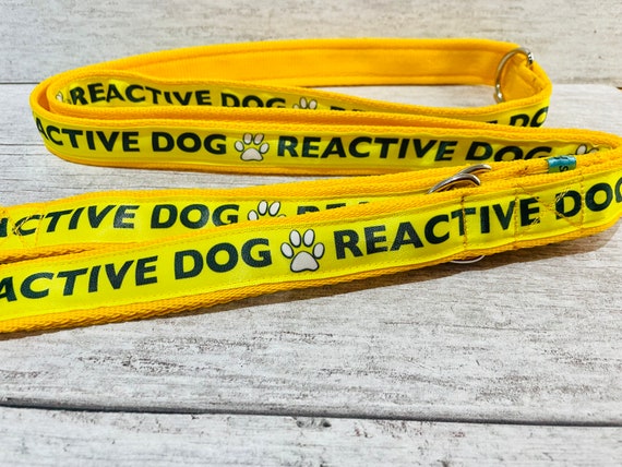 Solid Colour REACTIVE DOG Lead Leash Back off SPACE Needed Reactive dog Lead leash Alert Collars Etsy Canada