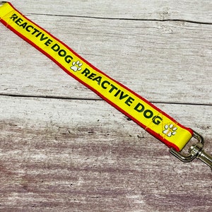 Reactive Dog Lead: Anxious/Working Dog Alert Tag, Custom Color
