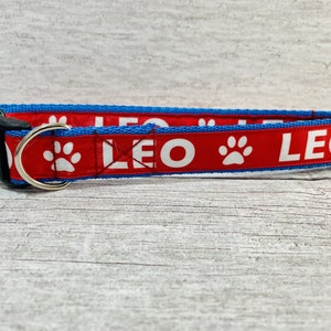 Personalized Dog Collar: Custom Name & Contact Details, Machine Washable