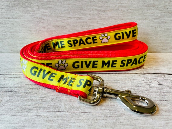 Dog leads near me online