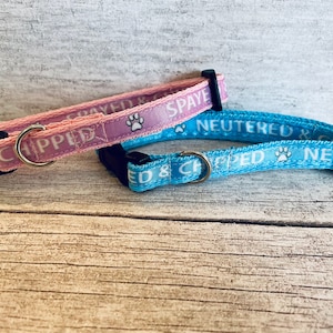 May include: Two dog collars, one pink and one blue, with white text and paw prints. The pink collar says "Spayed & Chipped" and the blue collar says "Neutered & Chipped".